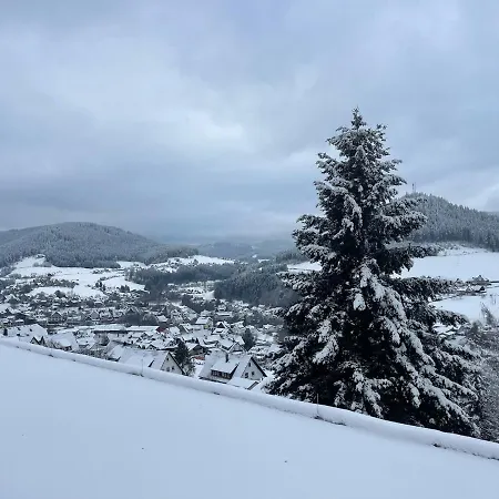 Tonbachblick Appartement