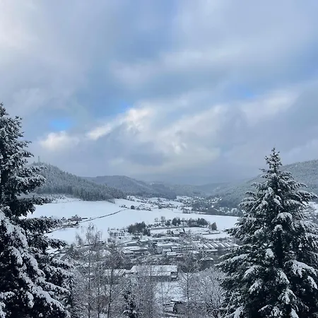 Tonbachblick *