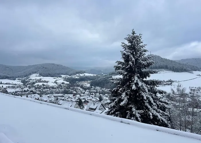 Tonbachblick Lägenhet