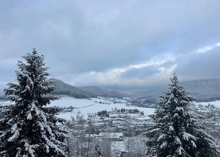 Lägenhet Tonbachblick *