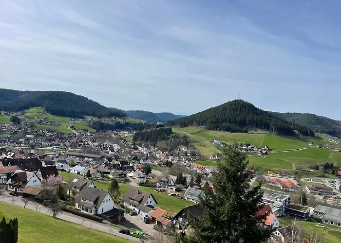 Tonbachblick Baiersbronn