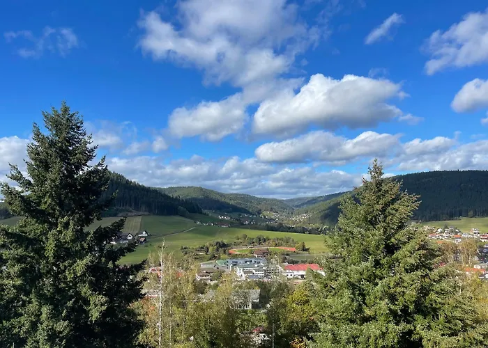 Tonbachblick Baiersbronn